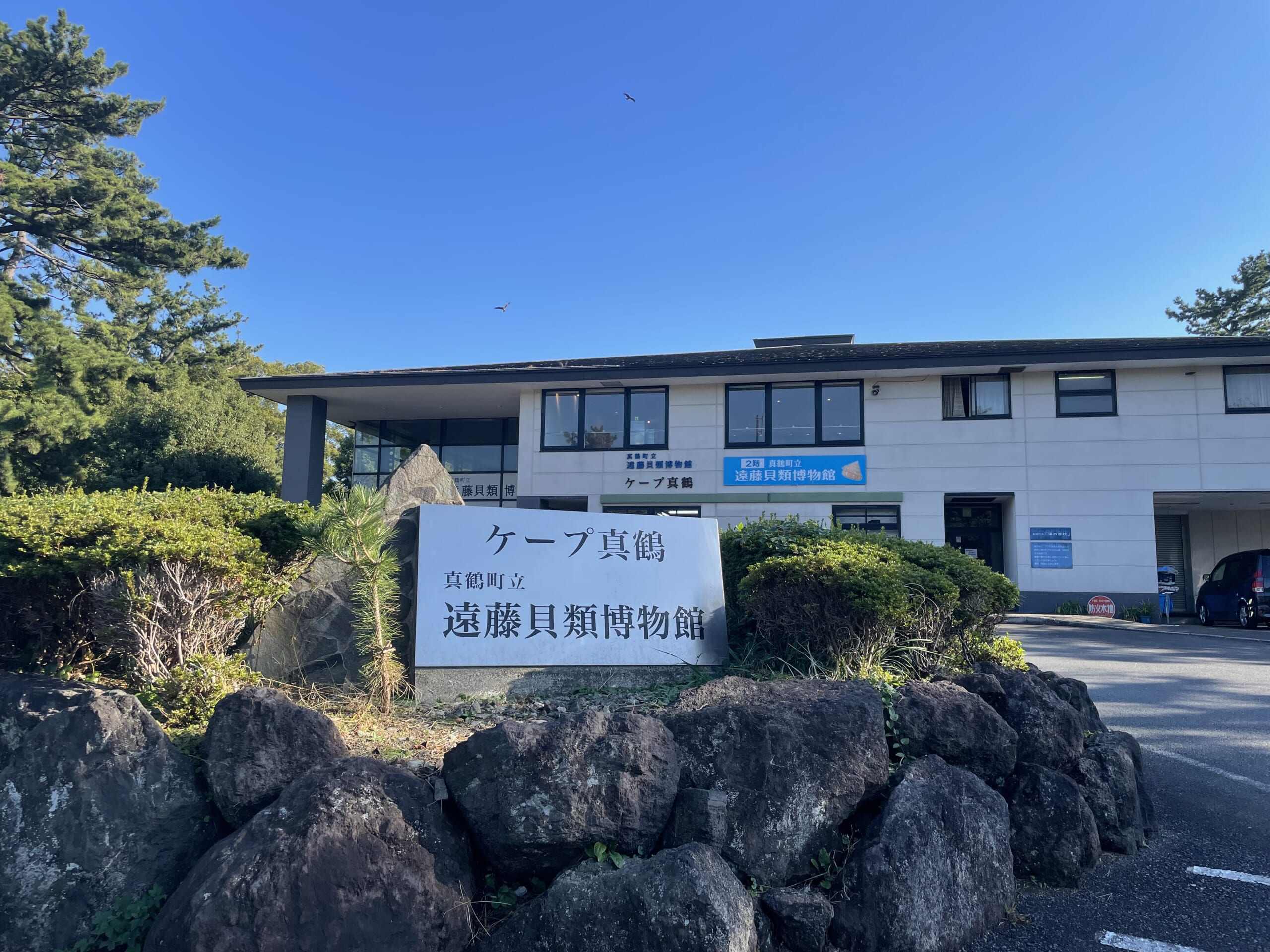真鶴町立遠藤貝類博物館