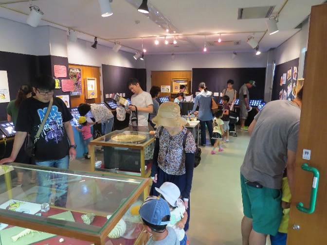 笠岡市立カブトガニ博物館
