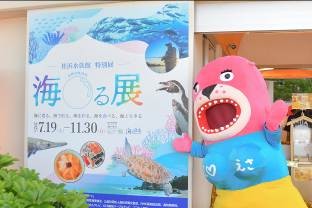 桂浜水族館