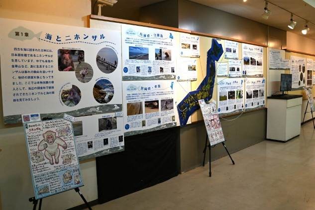 公益財団法人日本モンキーセンター