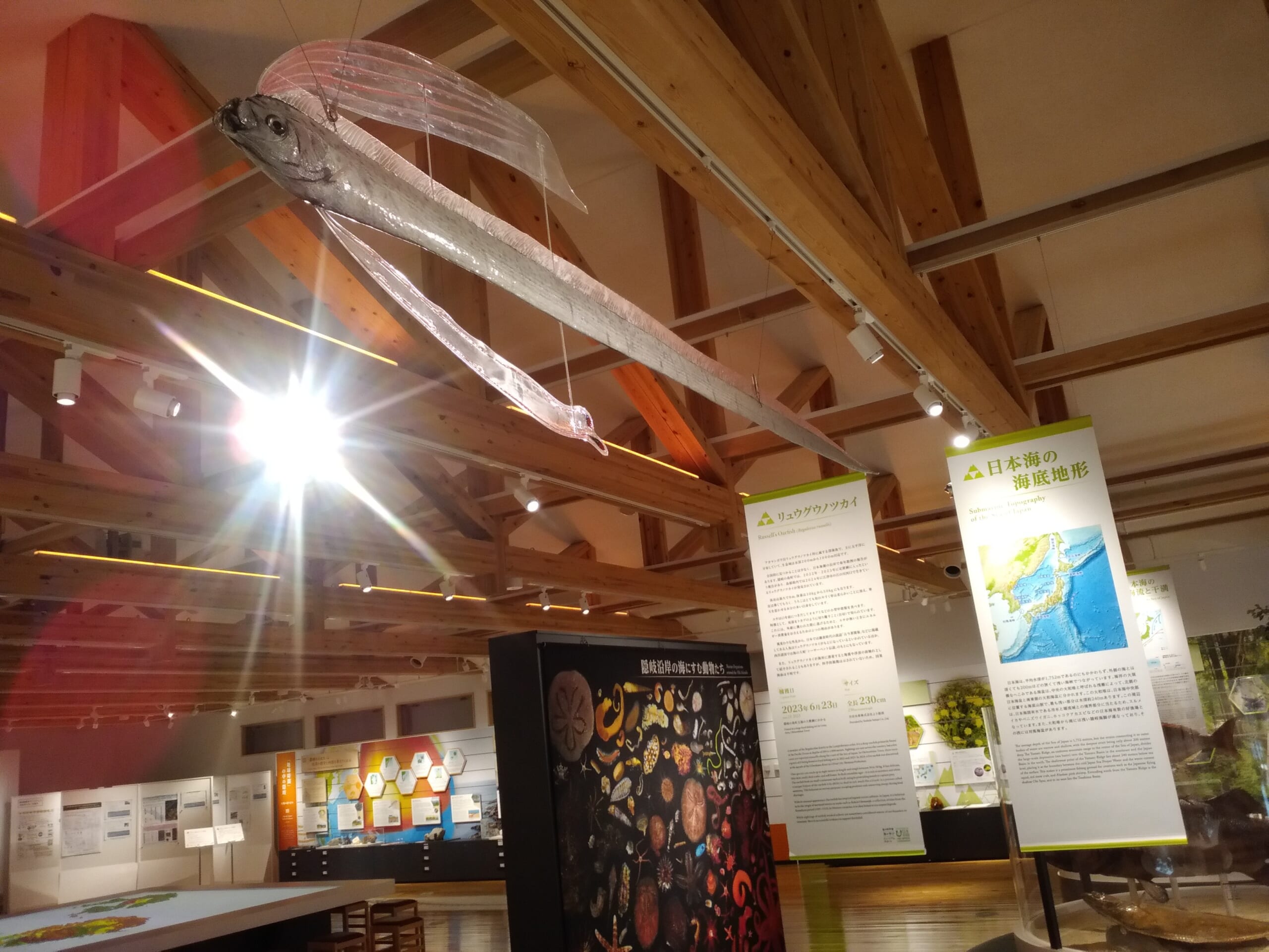 隠岐自然館
