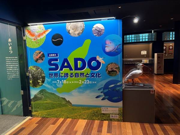新潟市水族館マリンピア日本海